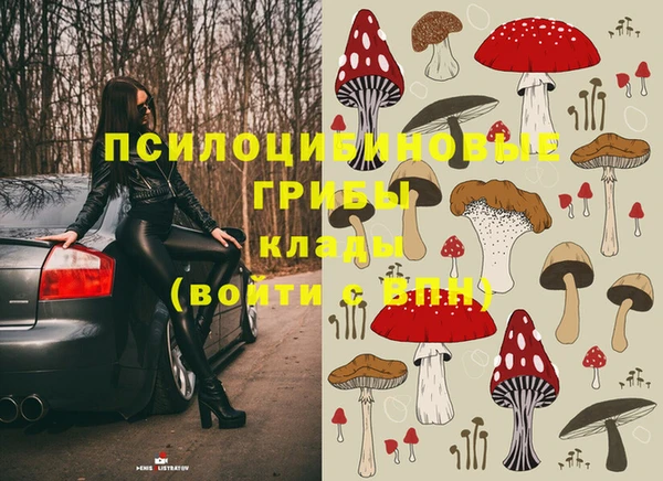 дмт Аркадак