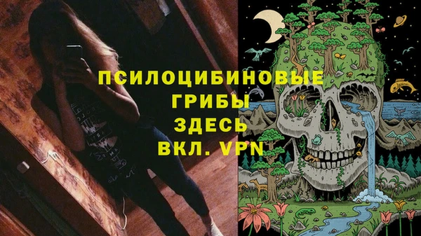 дмт Аркадак