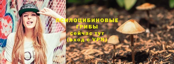 a pvp Заволжск